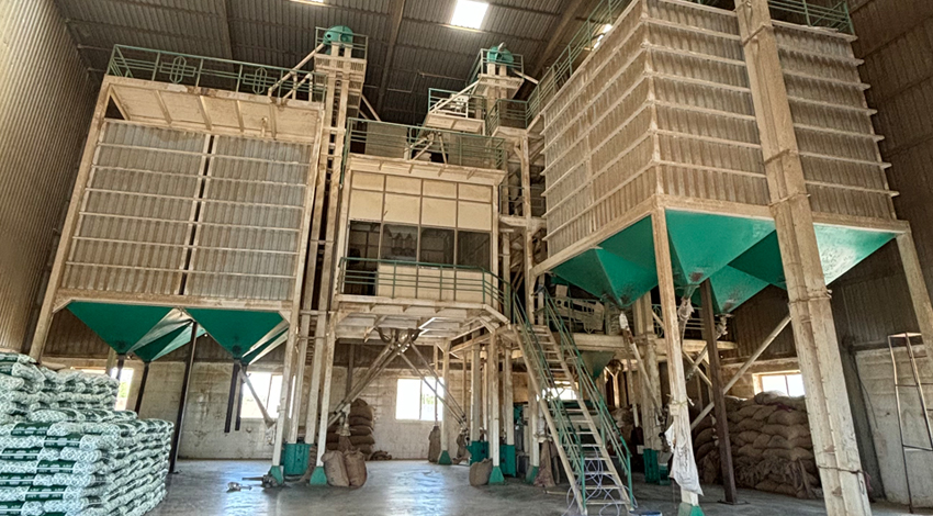 Automatic Grain Cleaning Plant