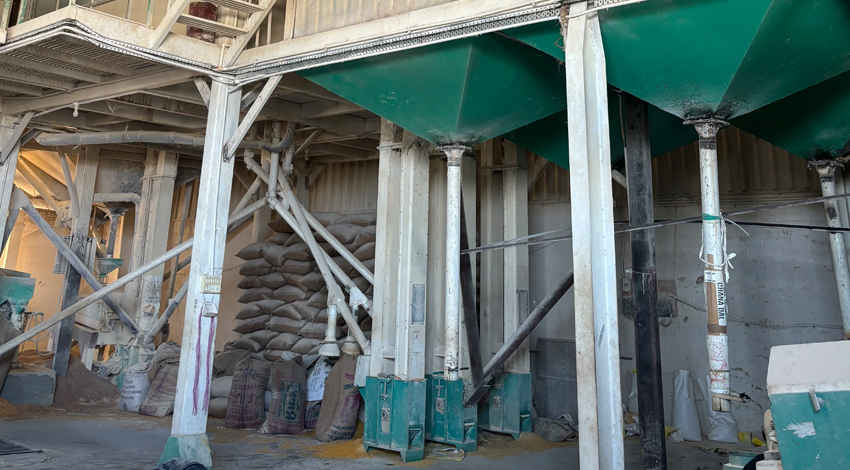Dal Mill Pulses Plant Manufacturers