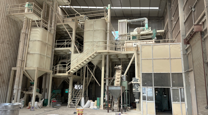 Seed Sortex Plant Manufacturers